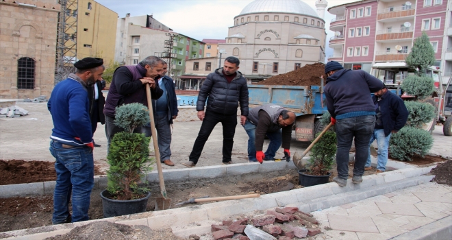 Güroymakta peyzaj çalışması