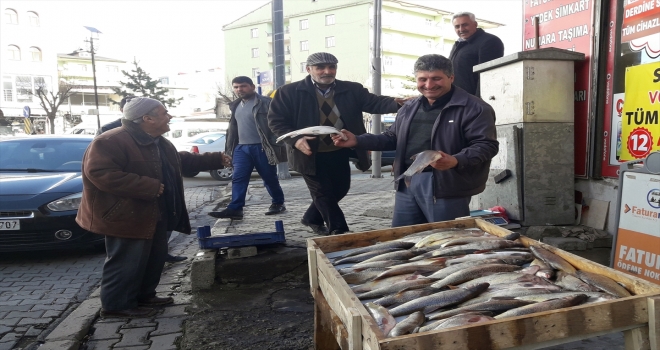 Kaya balığı geçim kaynağı oldu