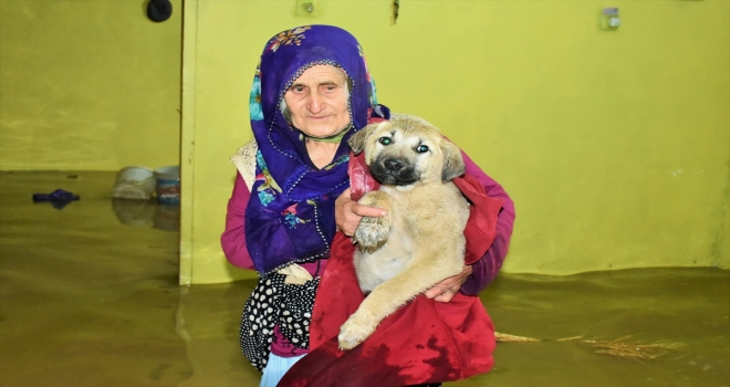 Muşta dere taştı, köyü su bastı