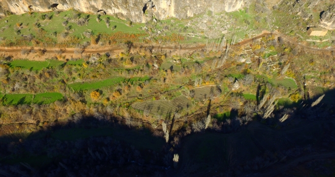 Terörden temizlenen topraklarda tarım yapılacak