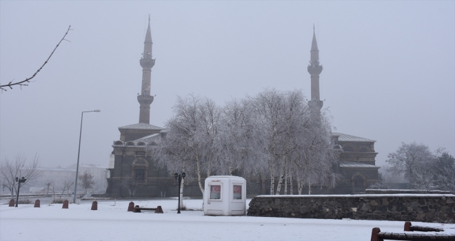 Kars ve Ardahanda yoğun sis