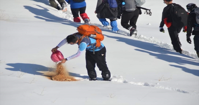 Vanda dağcılar yaban hayvanları için doğaya yem bıraktı 