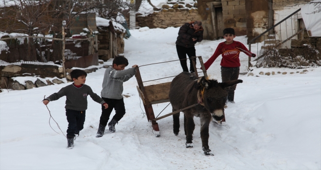 Ahlatta çocuklar kızaklarla ot taşıyor