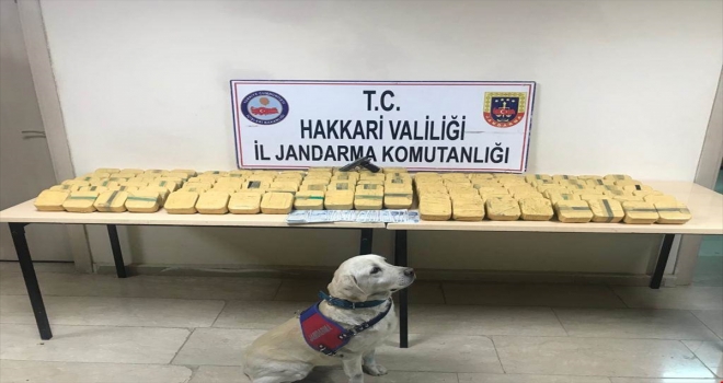 Hakkaride 73 kilo 600 gram eroin ele geçirildi