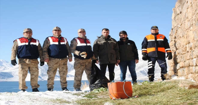 Jandarma yaban hayvanları için doğaya yem bıraktı