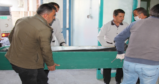 Başkalede 2 erkek cesedi bulundu