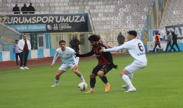 Erzurumspor-0 Erzincanspor-3