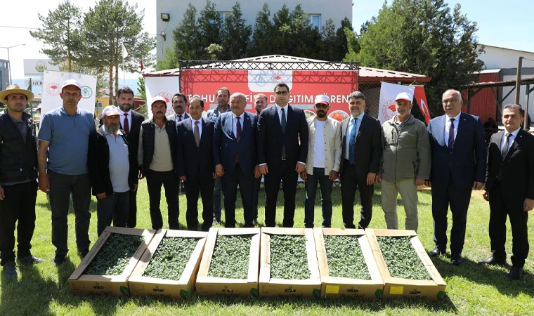 “Dünya Çiftçiler Günü” Domates Fidesi Dağıtımıyla Kutlandı