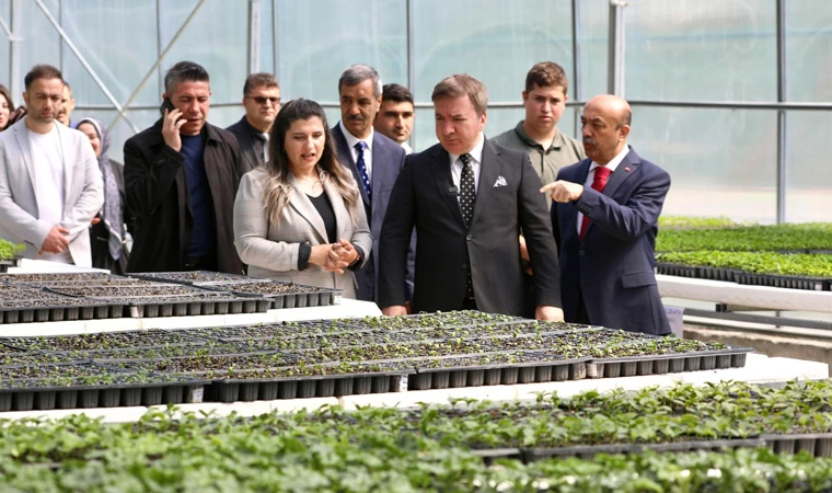 "Hedef Bir Milyon Fide” Projesinde 200 Bin Fide Toprakla Buluşuyor