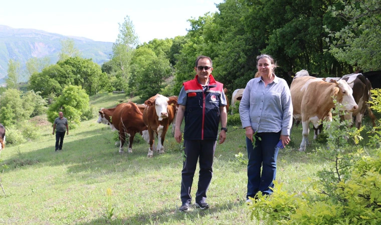 Kadın Muhtar, hayvancılıkta örnek oluyor…