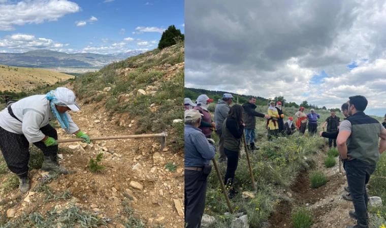 Erzincan dağlarına kadın eli değdi