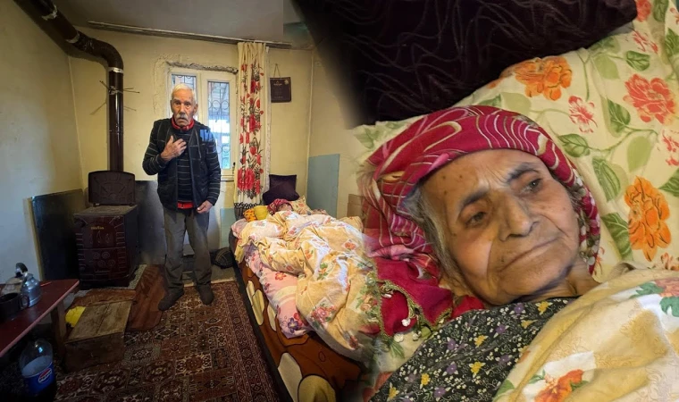 Çatıların Altında Saklı Hayatlar...