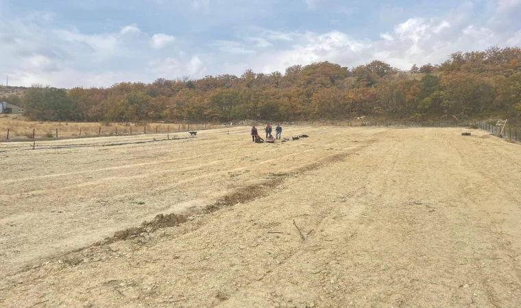 Kemaliye’de Salep Üretimi Başladı