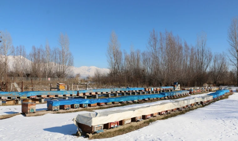Erzincan'a değer katan sektör yakından takip ediliyor