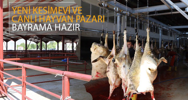 HAYVAN PAZARI KURBAN BAYRAMINA HAZIR