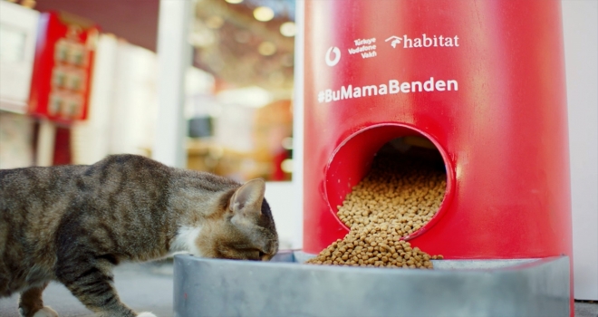 Kodla çalışan mama makineleri Türkiye geneline yayılıyor 