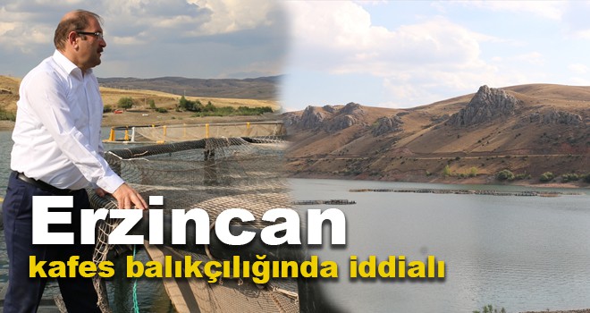 Erzincan kafes balıkçılığında iddialı