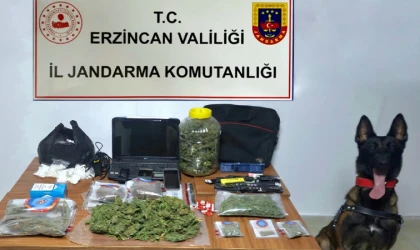 Jandarma'dan Uyuşturucu operasyonu