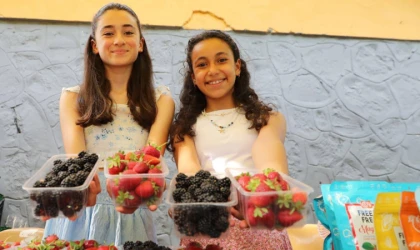 Tatlısu Köyü'nde Çilek ve Böğürtlen Festivali Coşkusu