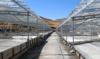 Dünyada ilk ve tek olan seralarda yerin altından gelen doğal lezzet….