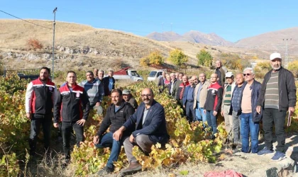 Üzüm Bağlarında Sonbahar Eğitimleri Başladı