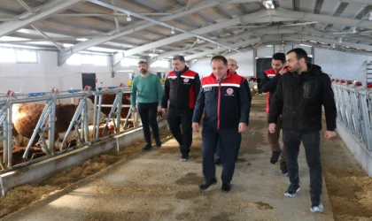 Erzincan’da Hibe Desteğiyle Kurulan Modern Tesis Üretime Başladı