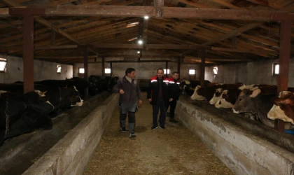 Manda Yetiştiriciliği Erzincan’da Yeniden Gündemde