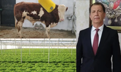 TKDK’dan Erzincan’a Dev Hamle: 12 Projeye 178 Milyon TL