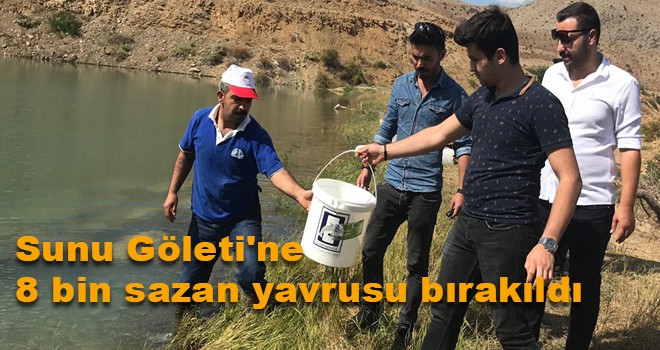Sunu Göleti'ne 8 bin sazan yavrusu bırakıldı