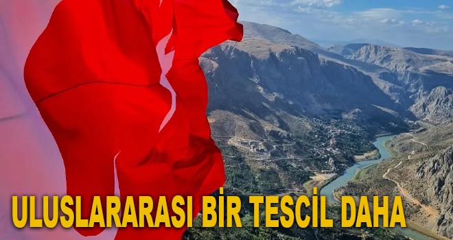 ULUSLAR ARASI BİR TESCİL DAHA