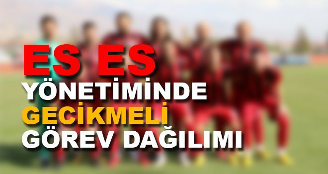 ES ES TE GECİKMELİ GÖREV DAĞILIMI